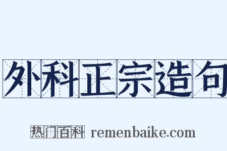 外科正宗造句是什么意思的图片